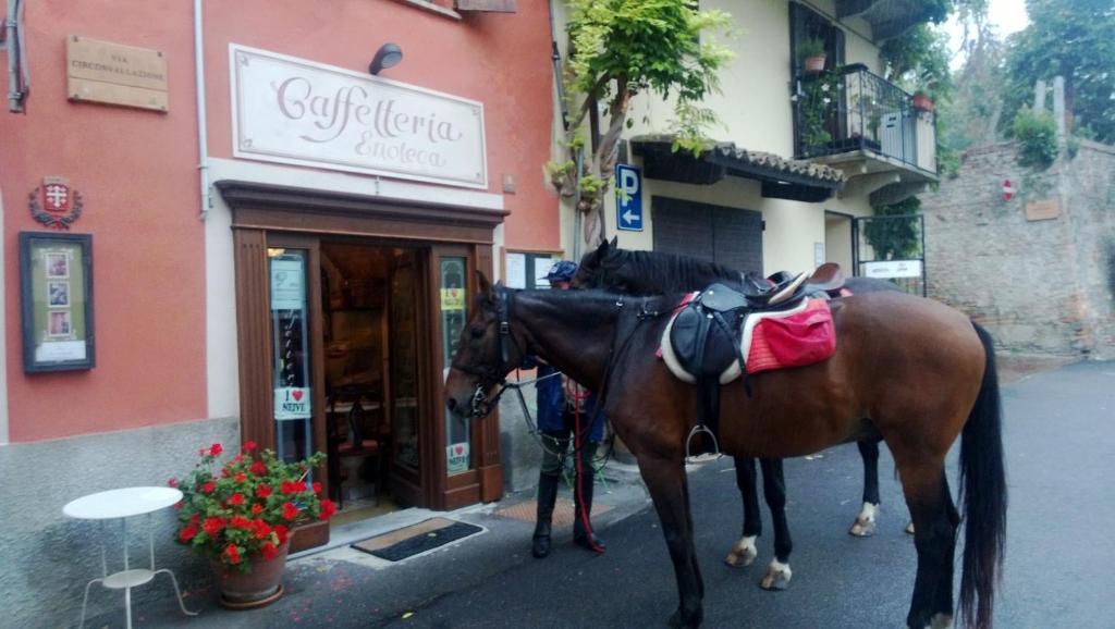 Dimora San Sebastiano Acomodação com café da manhã Neive Exterior foto